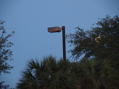 [The sky is a medium blue just before sunrise and the trees and parking lot lightstand are clearly visible. Light from the full moon is visible through the leaves of the tree on the right. Jupiter is a bright white dot at the same level as the top of the light fixture but to the left of it.]